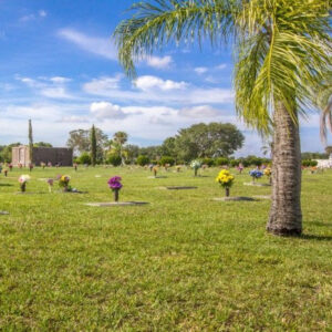 hodges funeral cemetery on a sunny day with palm tree