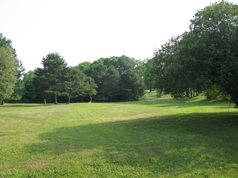 louis cicalese cemetery land